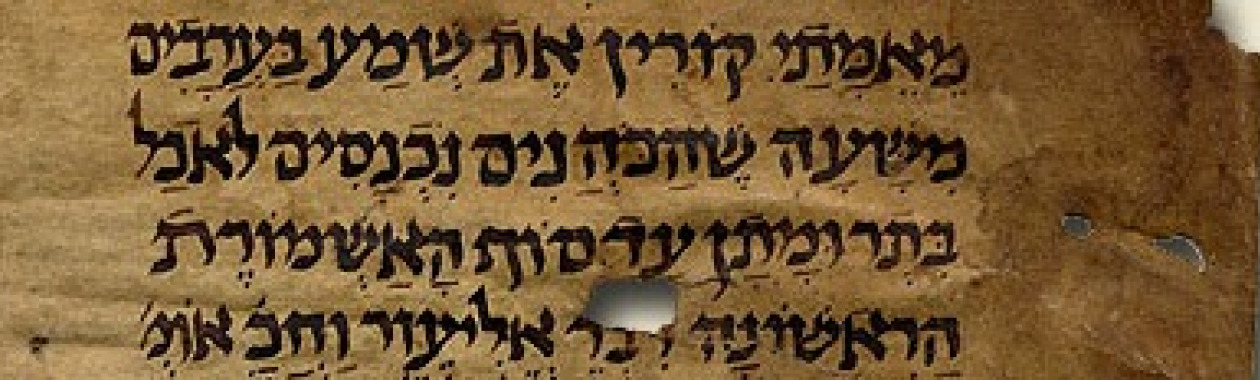 MS_Kaufmann_A_50 - PUBLIC DOMAIN